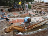 Die Wasserwippe/Seeschlange