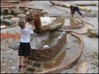 Die Wasserwippe/Seeschlange