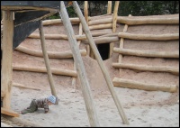 Die Spielh�tte und das Bergwerk